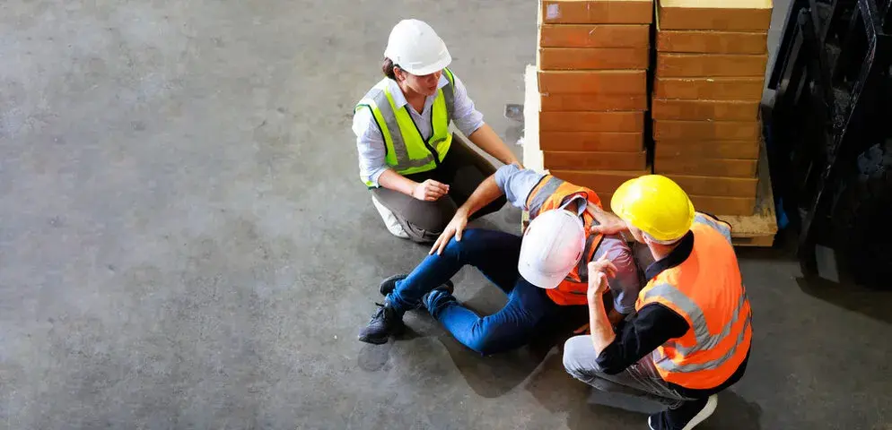 Towards a Canadian Work Disability Management System Standard (cross-sector).  